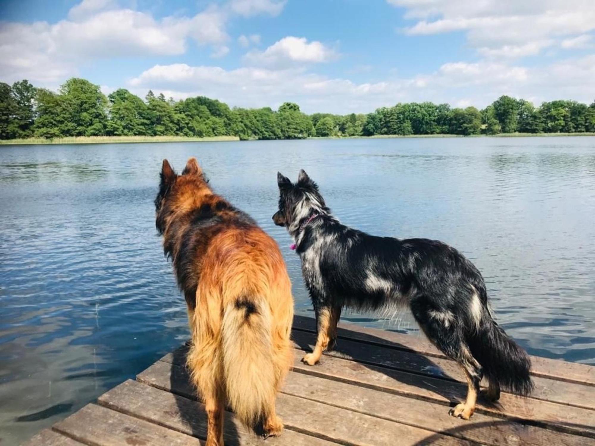 Ferienhaus Seeresidenz Am Muehlensee Godern Zewnętrze zdjęcie