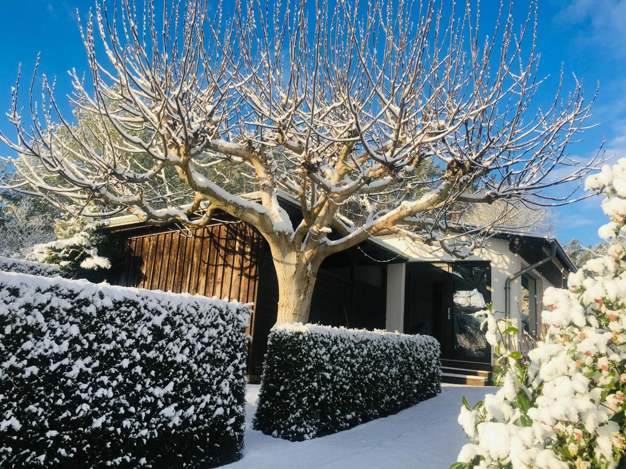 Ferienhaus Seeresidenz Am Muehlensee Godern Zewnętrze zdjęcie